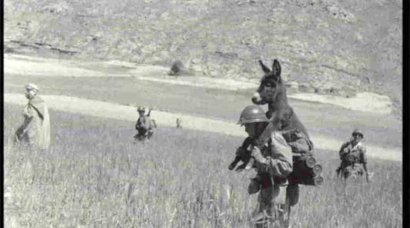 Davvero un soldato cerca di portare via un asino dal campo minato?