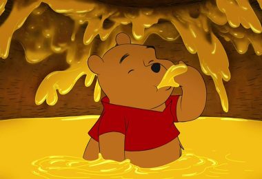 Agli orsi piace davvero il miele?