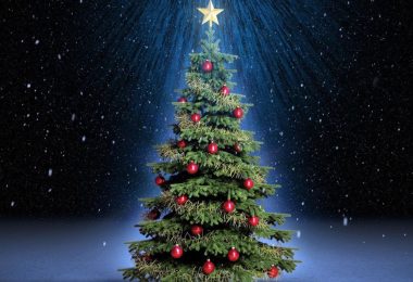Ma chi ha fatto il primo albero di Natale?