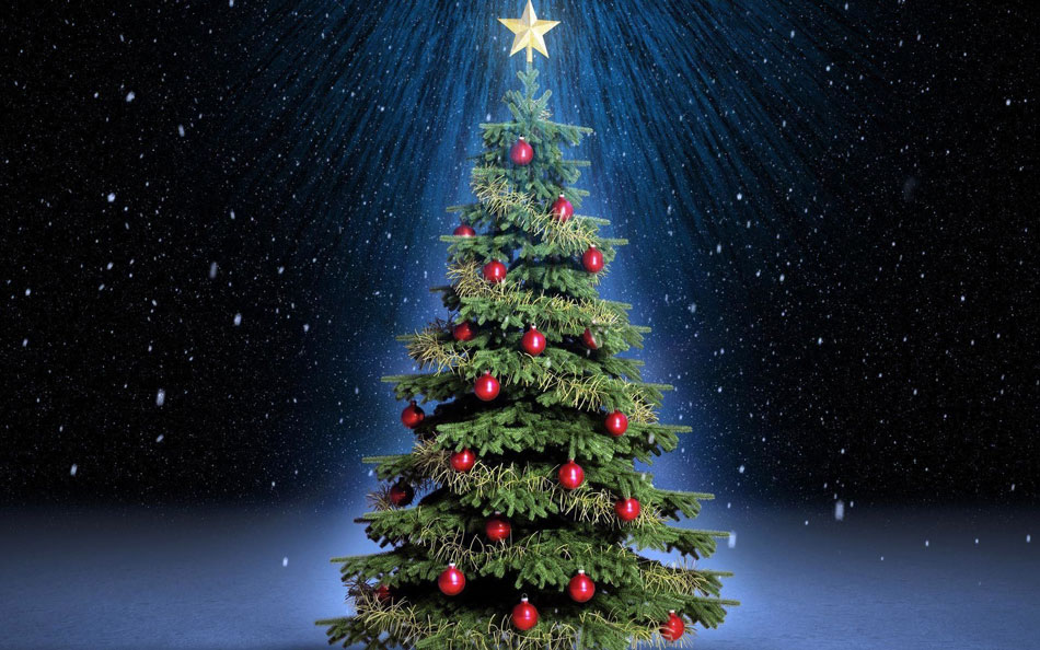 Ma chi ha fatto il primo albero di Natale?