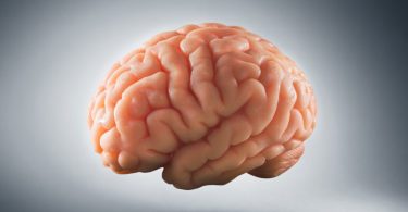 Saranno possibili i trapianti di cervello?