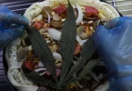 Pizza Cannabis