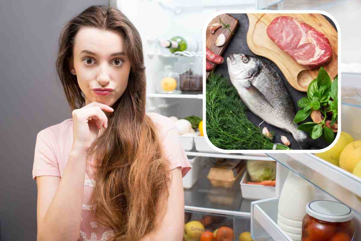 Dove mettere carne e pesce in frigo