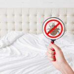 Evitare la contaminazione da cimici da letto